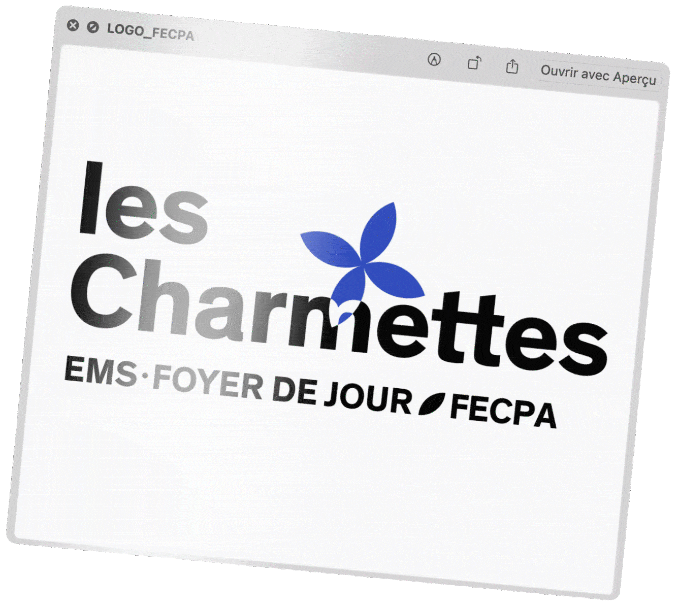 portfolio marius boillat